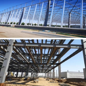 河間國欣農(nóng)村技術(shù)服務(wù)溫室、產(chǎn)業(yè)園連體倉庫