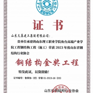 鋼結(jié)構(gòu)金獎工程