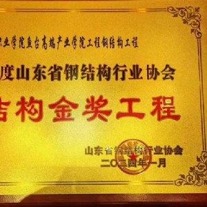 鋼結(jié)構(gòu)金獎(jiǎng)工程